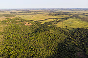  Picture taken with drone of the landscape of coxilhas of the southern fields - Ibirapuita Environmental Protection Area  - Santana do Livramento city - Rio Grande do Sul state (RS) - Brazil