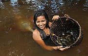  Yellow-spotted amazon river turtle (podocnemis unifilis) - Igapo-Açu Sustainable Development Reserve  - Borba city - Amazonas state (AM) - Brazil