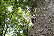  Man climbing rock in the middle of the forest  - Rio de Janeiro city - Rio de Janeiro state (RJ) - Brazil