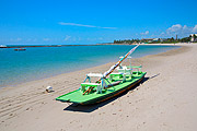  Raft on Muro Alto Beach  - Ipojuca city - Pernambuco state (PE) - Brazil