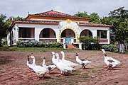  Big House of Santa Fe Mill - Currently it is a hotel  - Nazare da Mata city - Pernambuco state (PE) - Brazil