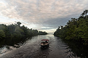  Tourist boat near Negro River  - Manaus city - Amazonas state (AM) - Brazil