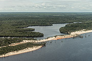  Aerial view of flooded Amazon rainforest  - Manaus city - Amazonas state (AM) - Brazil