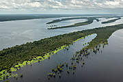  Aerial photo of Anavilhanas National Park  - Manaus city - Amazonas state (AM) - Brazil