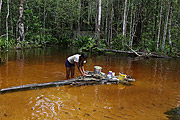  Woman washing pots - Igarape Monte Horebe  - Manaus city - Amazonas state (AM) - Brazil