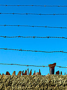  Wall with wire and broken glass  - Cidreira city - Rio Grande do Sul state (RS) - Brazil