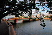  Mauricio de Nassau Bridge  - Recife city - Pernambuco state (PE) - Brazil