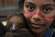  Girl from Satere-mawe tribe - Wakiru Community - With sloth on his lap  - Manaus city - Amazonas state (AM) - Brazil