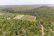  Picture taken with drone of reforested area and area with original forest - Tupiniquim ethnic group Pau Brasil  - Aracruz city - Espirito Santo state (ES) - Brazil