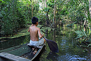  Riverine child on Igapo - Ariau River  - Iranduba city - Amazonas state (AM) - Brazil