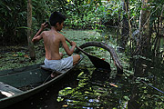  Riverine child on Igapo - Ariau River  - Iranduba city - Amazonas state (AM) - Brazil