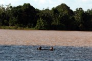 Meeting of the waters of the Abacaxis River, black water, and the Uraria River - Nova Olinda do Norte city - Amazonas state (AM) - Brazil