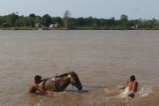 Riverine boys playing in the Uraria River - Nova Olinda do Norte city - Amazonas state (AM) - Brazil