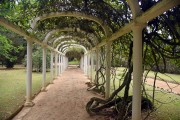 Pergola - Botanical Garden of Rio de Janeiro - Rio de Janeiro city - Rio de Janeiro state (RJ) - Brazil