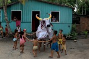 Children playing of Boi Malhado - Folklore of Vera Cruz Island - Maues city - Amazonas state (AM) - Brazil