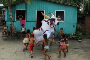 Children playing of Boi Malhado - Folklore of Vera Cruz Island - Maues city - Amazonas state (AM) - Brazil