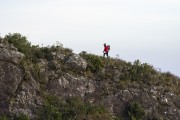 Trekking in Mantiqueira Mountain Range near Itatiaia - Itatiaia city - Rio de Janeiro state (RJ) - Brazil