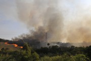 Fire in native forest - Former IPA area (Instituto Penal Agricola) - Sao Jose do Rio Preto city - Sao Paulo state (SP) - Brazil
