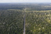 Picture taken with drone of the Sooretama Biological Reserve - the largest continuous area of Atlantic forest in the state - cut by Highway BR-101 - Sooretama city - Espirito Santo state (ES) - Brazil
