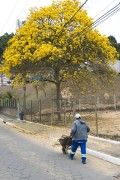 Street sweeper from the public cleaning service - Santa Maria de Jetiba city - Espirito Santo state (ES) - Brazil