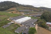 Picture taken with drone of the laying farm in the countryside - the municipality is the largest egg producer in Brazil - Santa Maria de Jetiba city - Espirito Santo state (ES) - Brazil