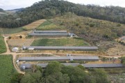 Picture taken with drone of the laying farm in the countryside - the municipality is the largest egg producer in Brazil - Santa Maria de Jetiba city - Espirito Santo state (ES) - Brazil