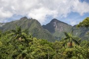 View of the Serrinha do Alambari Environmental Protection Area - Resende city - Rio de Janeiro state (RJ) - Brazil