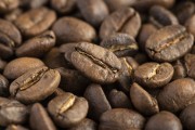 Detail of Moca specialty coffee in roasted beans 100% arabica - Rio de Janeiro city - Rio de Janeiro state (RJ) - Brazil