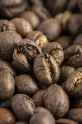 Detail of Moca specialty coffee in roasted beans 100% arabica - Rio de Janeiro city - Rio de Janeiro state (RJ) - Brazil
