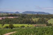 Cornfield, pasture and clay extraction area in the rural area of Rio Claro with the Itaqueri mountain range in the background - Rio Claro city - Sao Paulo state (SP) - Brazil