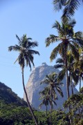 Palm trees and Sugarloaf in the background - Rio de Janeiro city - Rio de Janeiro state (RJ) - Brazil