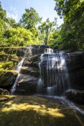 Primate Waterfall - Tijuca National Park - Rio de Janeiro city - Rio de Janeiro state (RJ) - Brazil