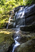 Primate Waterfall - Tijuca National Park - Rio de Janeiro city - Rio de Janeiro state (RJ) - Brazil