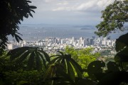 View of the City Center and Guanabara Bay from Tijuca National Park - Rio de Janeiro city - Rio de Janeiro state (RJ) - Brazil