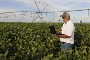 Farmer using computer in the field in the middle of the soybean plantation - Buritama city - Sao Paulo state (SP) - Brazil
