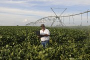 Farmer using computer in the field in the middle of the soybean plantation - Buritama city - Sao Paulo state (SP) - Brazil