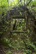 Detail of Ruin of old farm - Tijuca National Park  - Rio de Janeiro city - Rio de Janeiro state (RJ) - Brazil