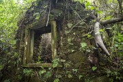 Detail of Ruin of old farm - Tijuca National Park  - Rio de Janeiro city - Rio de Janeiro state (RJ) - Brazil