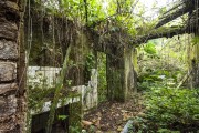 Detail of Ruin of old farm - Tijuca National Park  - Rio de Janeiro city - Rio de Janeiro state (RJ) - Brazil