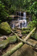 Cascata Baronesa (Baronesa Cascade) - Tijuca National Park  - Rio de Janeiro city - Rio de Janeiro state (RJ) - Brazil