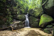 Cascata Baronesa (Baronesa Cascade) - Tijuca National Park  - Rio de Janeiro city - Rio de Janeiro state (RJ) - Brazil