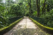 Bridge in Tijuca Forest - Rio de Janeiro city - Rio de Janeiro state (RJ) - Brazil