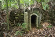 Ruins of Sitio Midosi - Tijuca National Park  - Rio de Janeiro city - Rio de Janeiro state (RJ) - Brazil