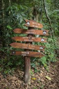 Tijuca National Park trail signposts - Rio de Janeiro city - Rio de Janeiro state (RJ) - Brazil