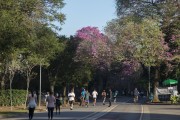 Reopening of Ibirapuera Park after quarantine period due to the Coronavirus crisis - Sao Paulo city - Sao Paulo state (SP) - Brazil