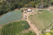Picture taken with drone of the Kitchen garden on a small rural property - Brasopolis city - Minas Gerais state (MG) - Brazil