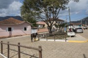 Ride horse tied in square - Brasopolis city - Minas Gerais state (MG) - Brazil