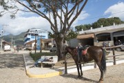 Ride horse tied in square - Brasopolis city - Minas Gerais state (MG) - Brazil