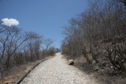 Stone road in the landscape of the Pernambuco hinterland during the dry season - Salgueiro city - Pernambuco state (PE) - Brazil