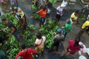 Sale of bananas in the Port of Manaus - Manaus city - Amazonas state (AM) - Brazil